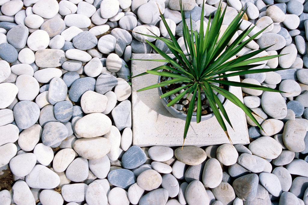Sol minéraux pour aménager un jardin méditerranéen