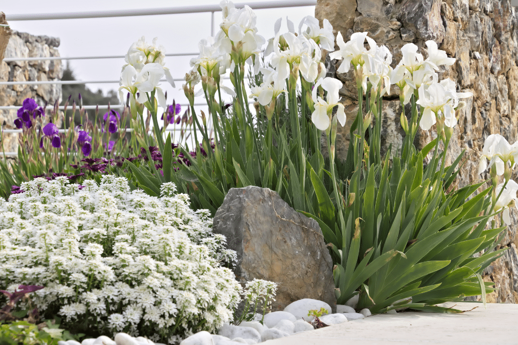 Aménagement d’une terrasse dans un jardin méditerranéen