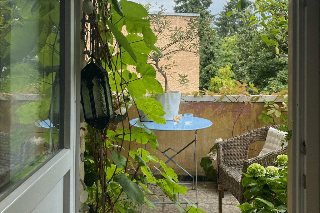 Brise-vue végétal avec plantes grimpantes sur un balcon