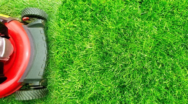 Jardinier paysagiste fougeres