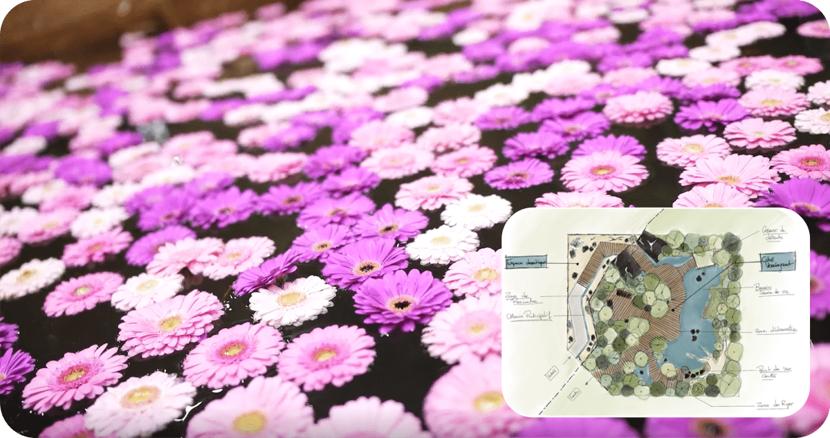 <p>Nos paysagistes ont du talent</p>
