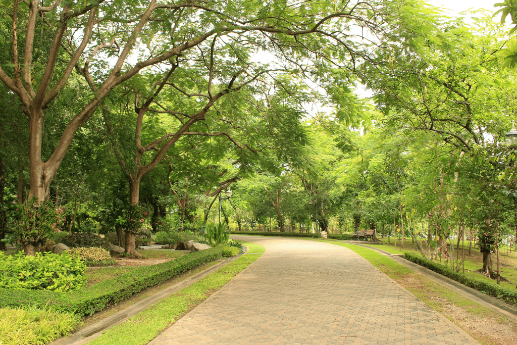 parc-vert