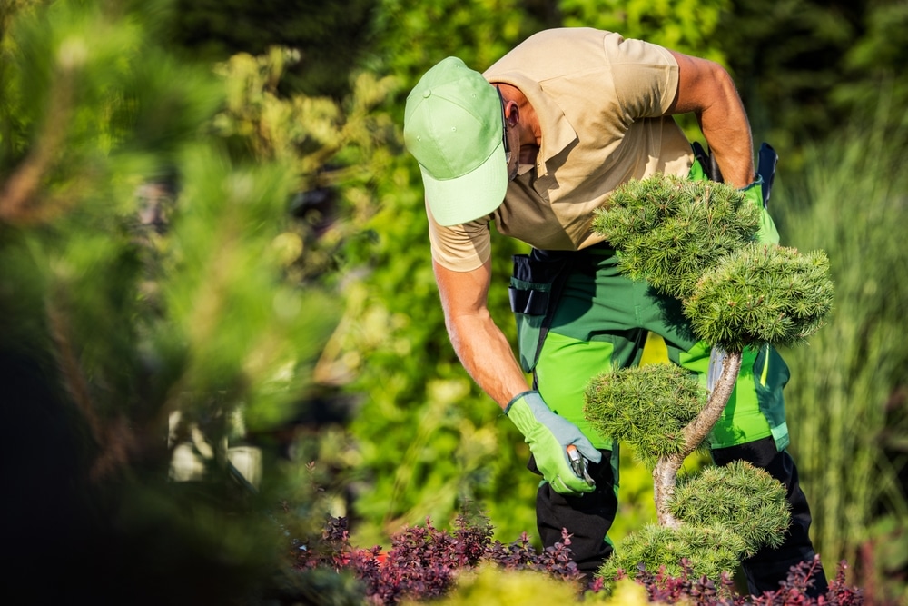 Les travaux d'entretien jardin