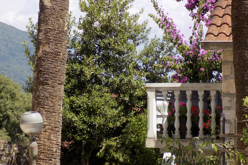 Plantes adaptées à une terrasse d’appartement ensoleillée