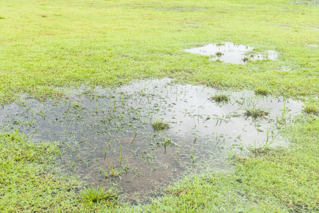 Écoulement de l’eau sur un terrain en pente