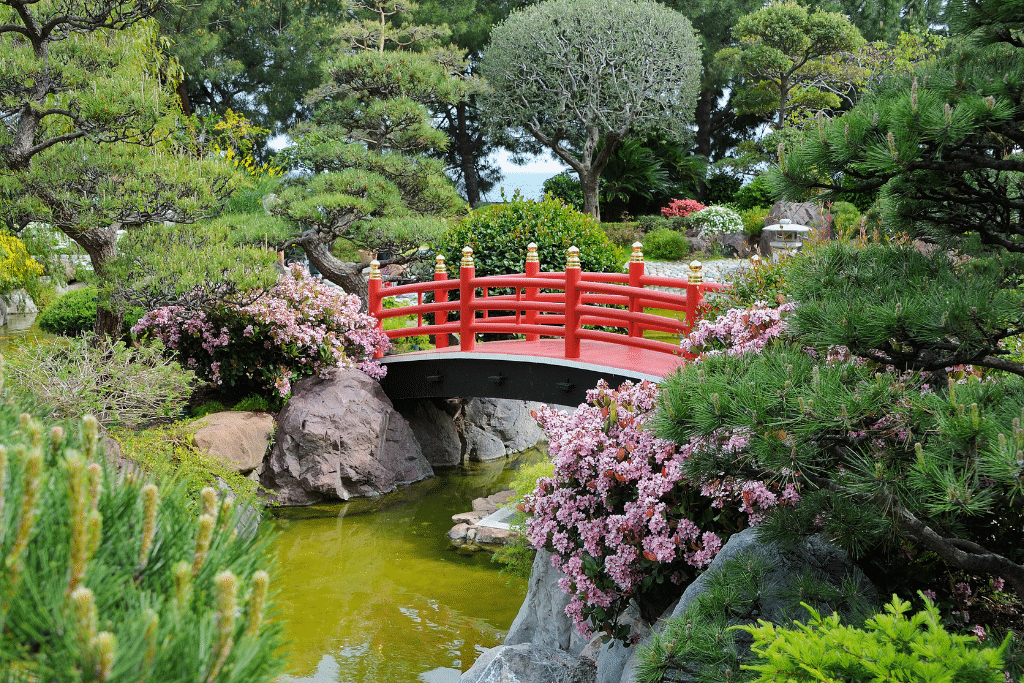 Style de jardin japonais avec pierres et végétation