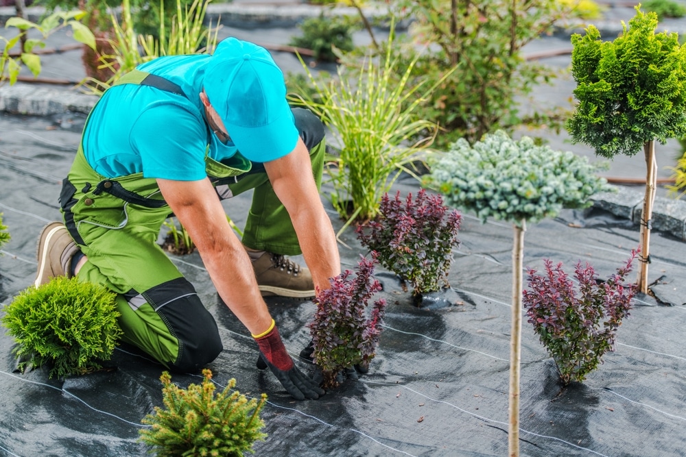 Trouver un jardinier à Marseille