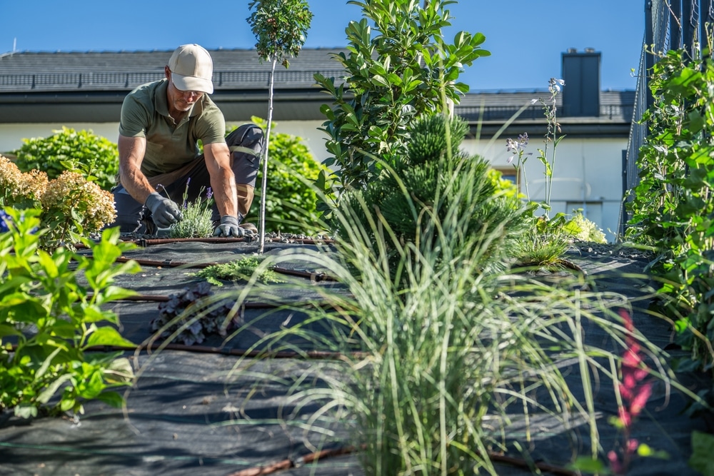 Prestations de jardinier à Bordeaux