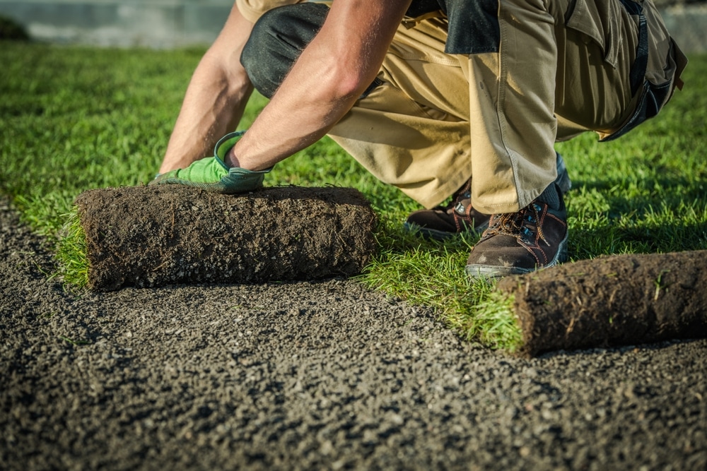 Les prestations d'un jardinier ici
