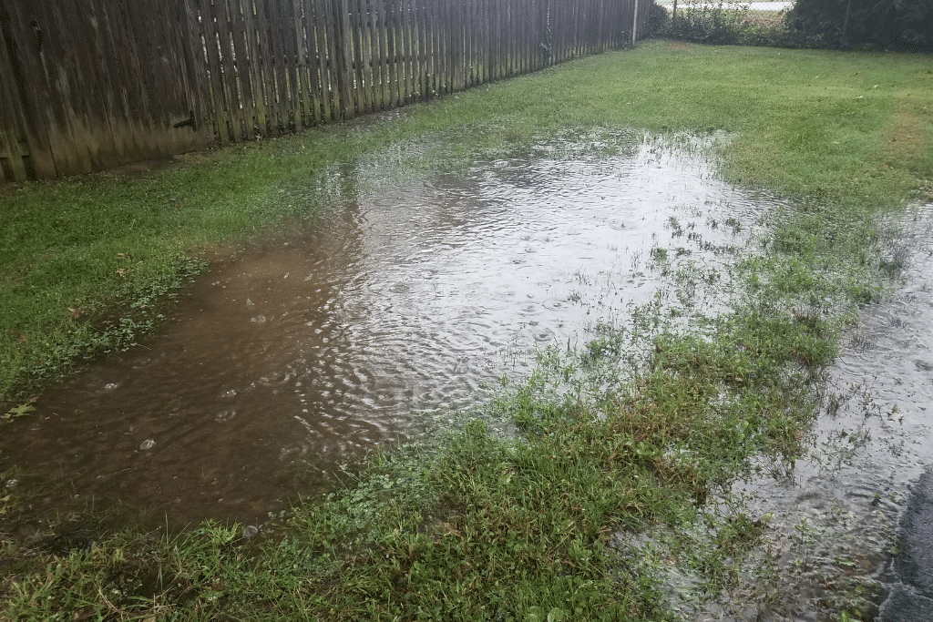Flaques d’eau persistantes sur une pelouse mal drainée