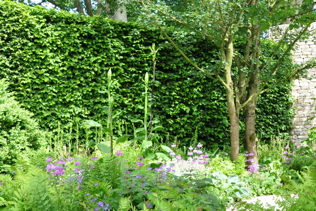 Style de jardin naturel avec végétation diversifiée