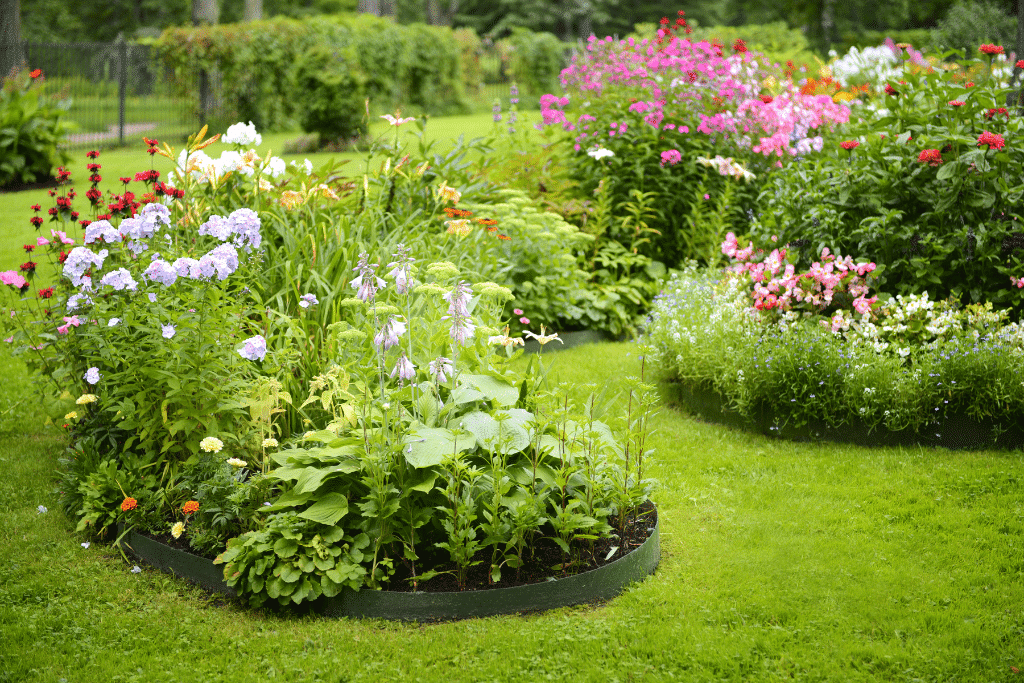 jardin avec différents plantes
