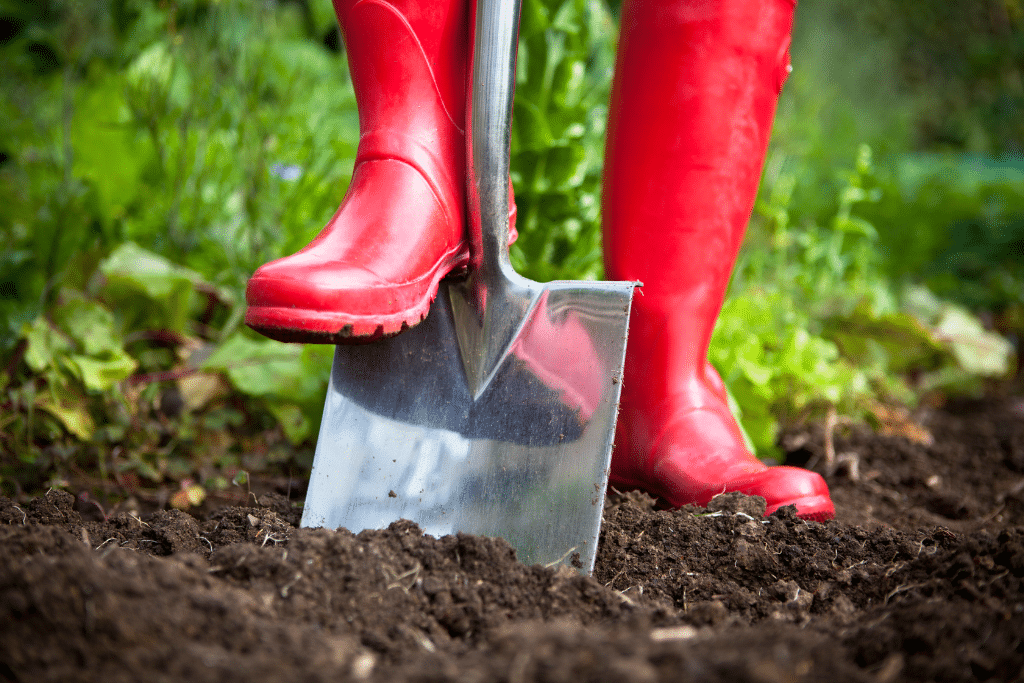 bêchage de jardin
