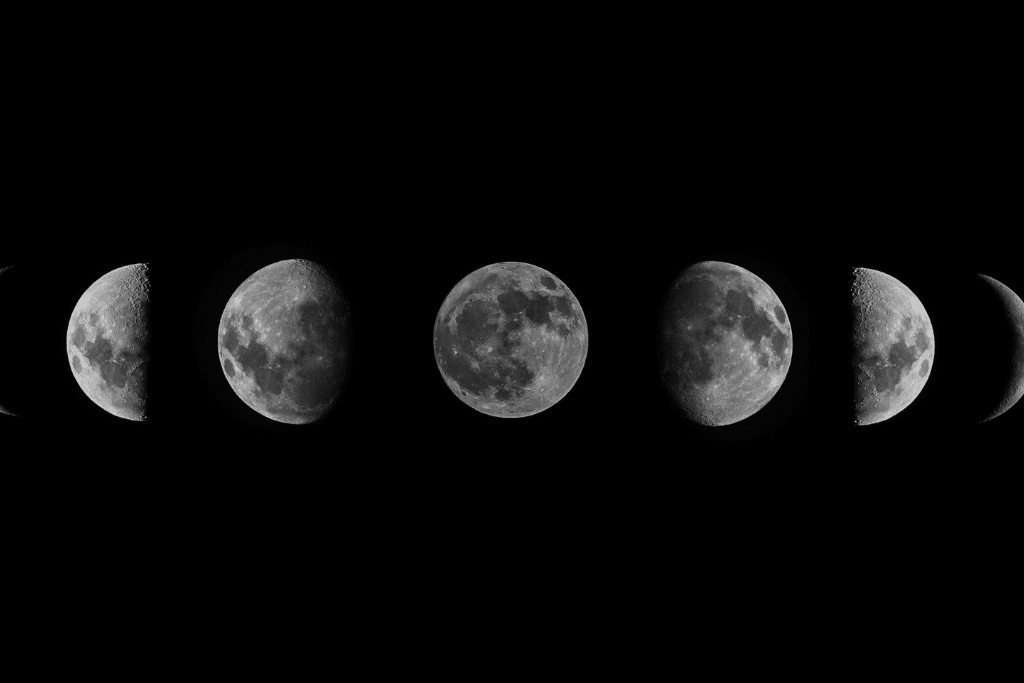 Les phases de la lune : nouvelle lune, premier quartier, pleine lune, dernier quartier